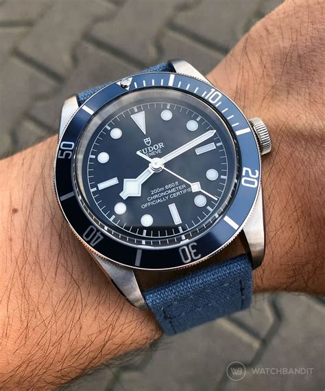 tudor black bay chrono blue